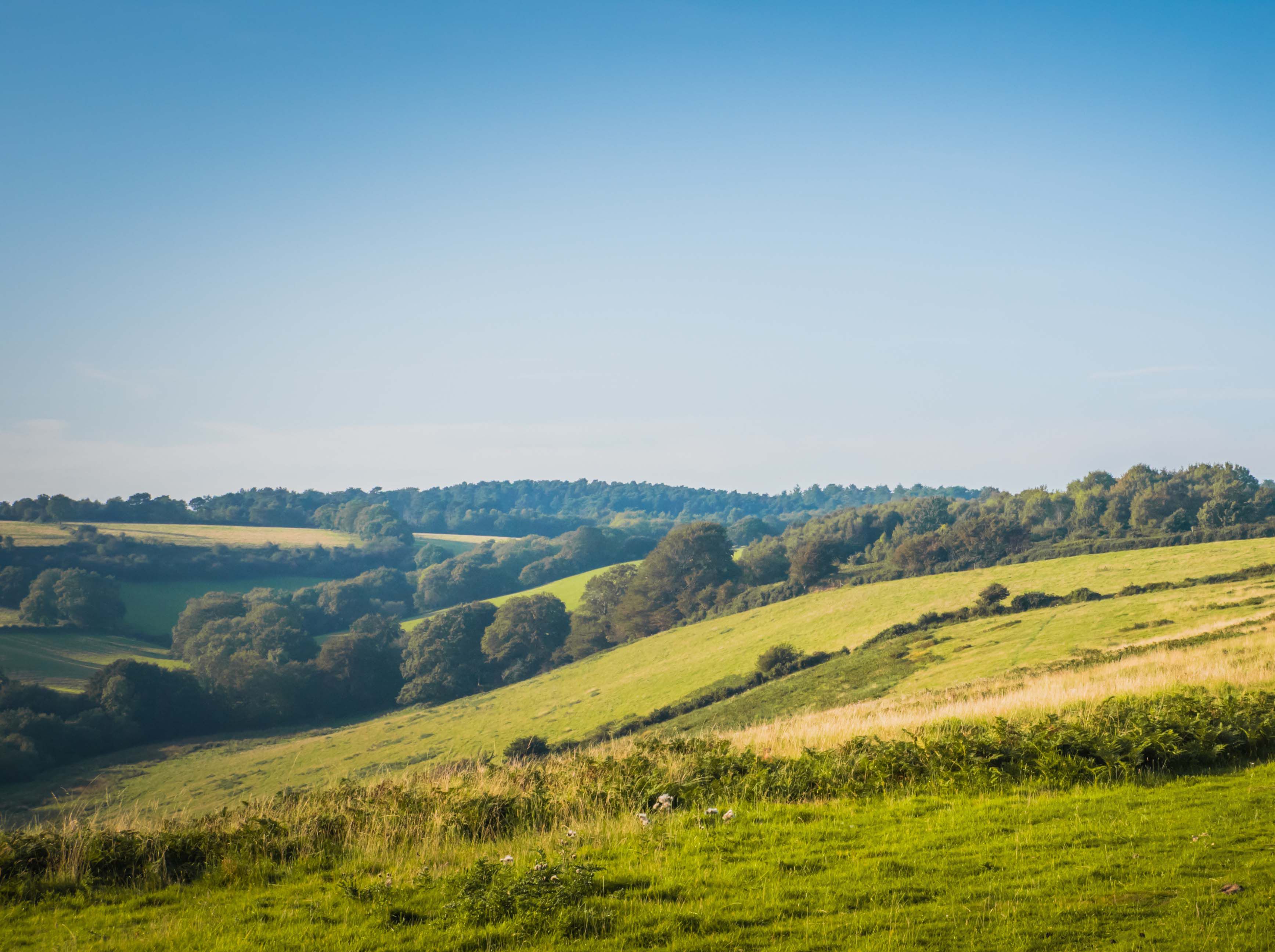 Countryside Image