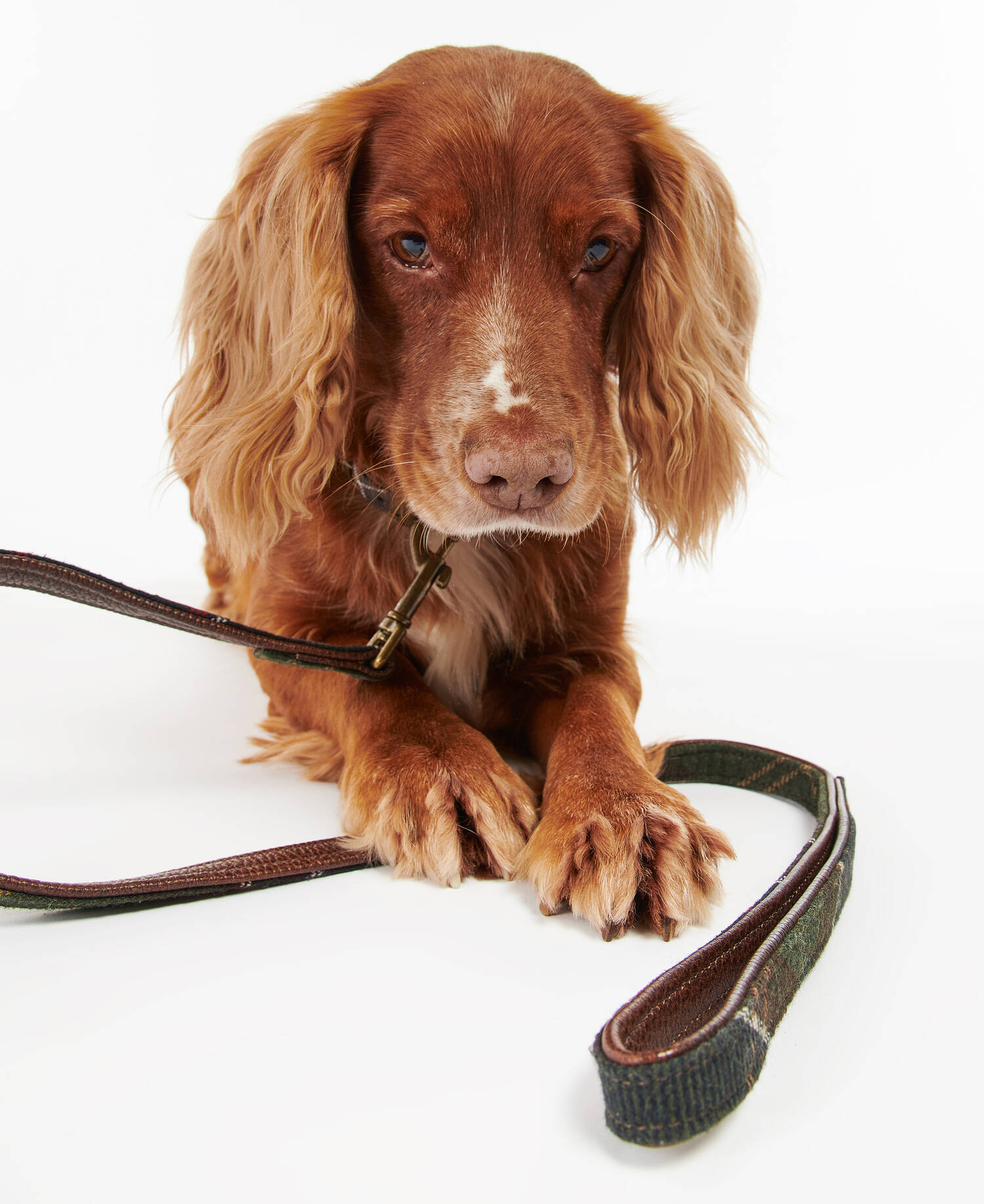 Tartan Dog Lead image number 0