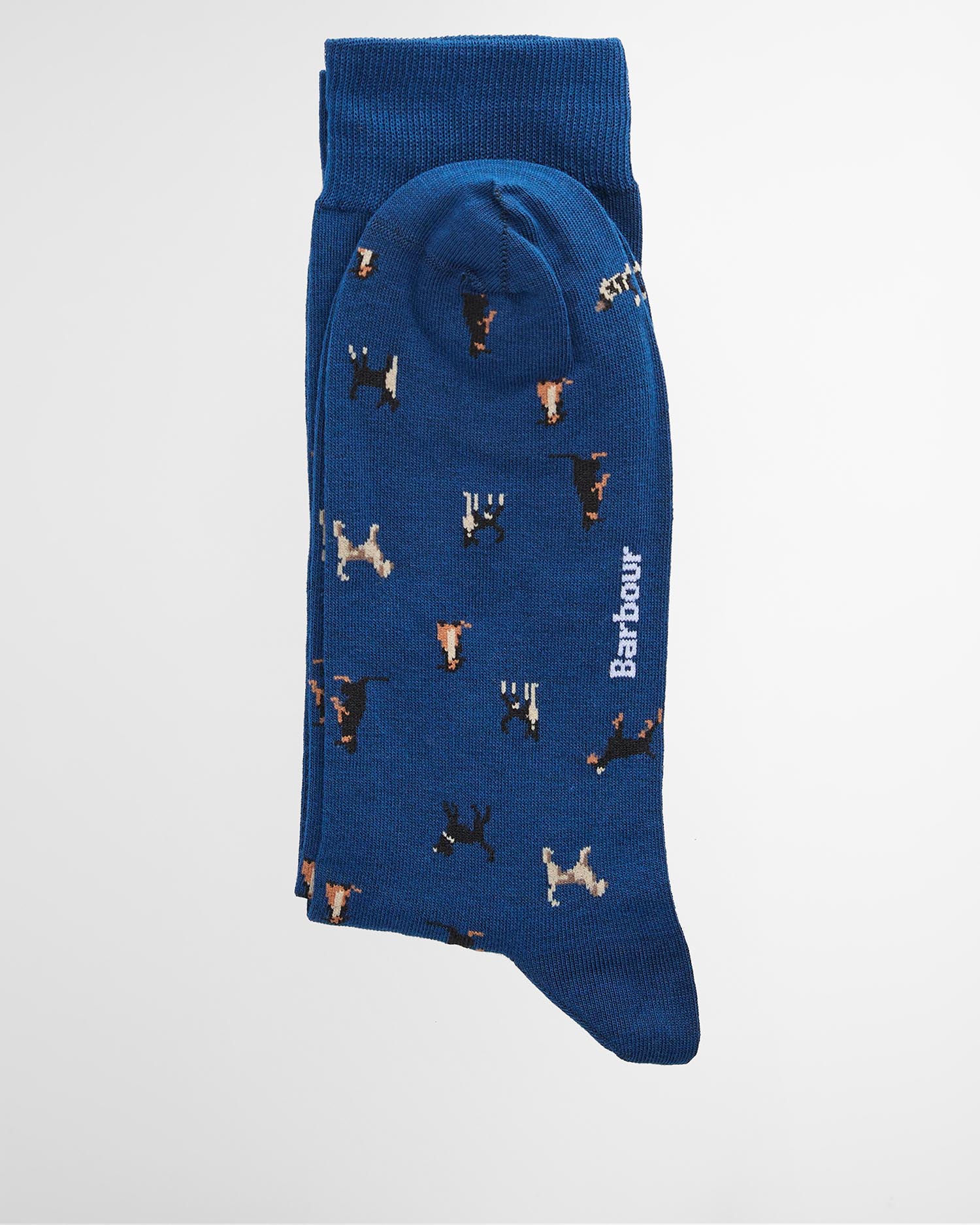 Deep Blue/Dog