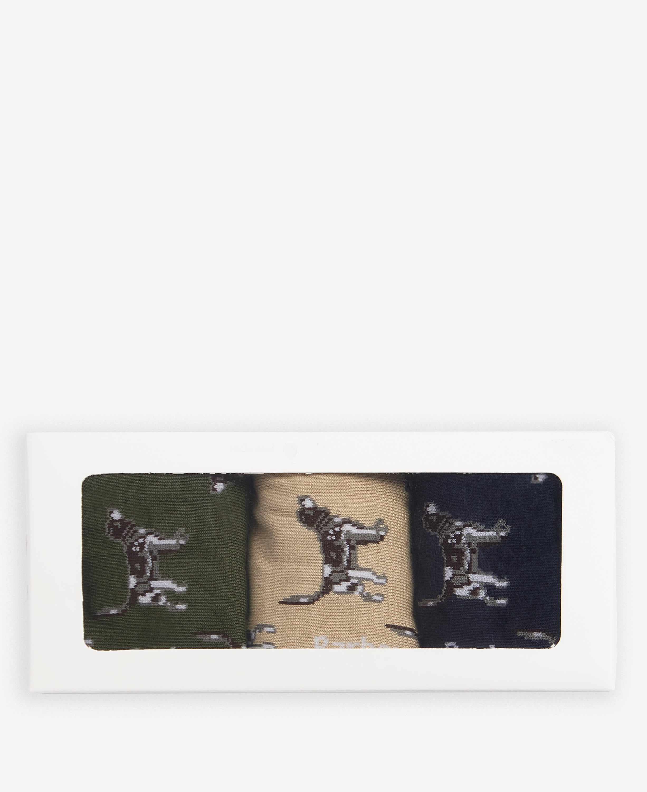 Geschenk-Set Socken Pointer Dog